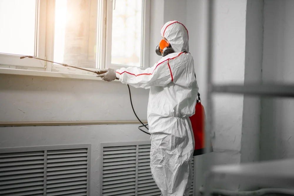 Professional mold remediation services in Wilmer, AL